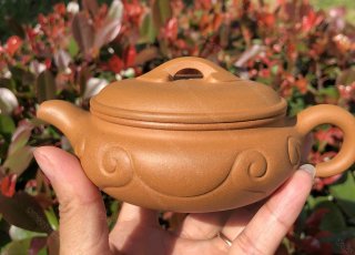 扁腹如意 扁腹如意