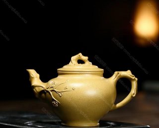 報(bào)春 報(bào)春