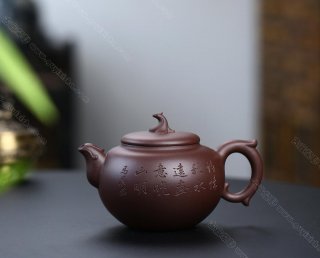 丹鳳朝陽 丹鳳朝陽