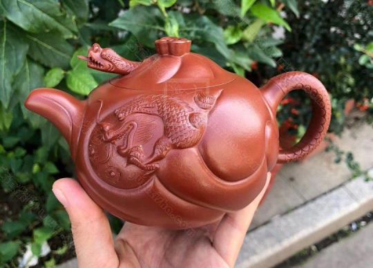 《魚化龍套組》 《魚化龍套組》