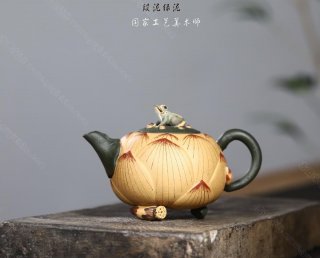 青蛙蓮子 青蛙蓮子