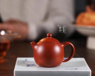 《龍蛋》 《龍蛋》