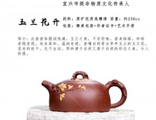 玉蘭花開 玉蘭花開