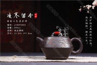 《凌寒留香》 《凌寒留香》