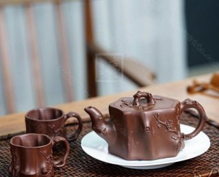 《樹樁套組》 《樹樁套組》