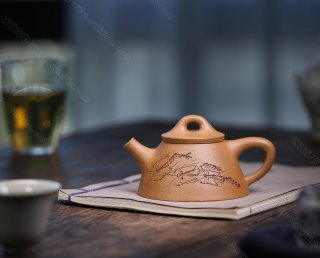 霸王石瓢 霸王石瓢