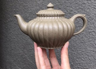 筋紋笑櫻 筋紋笑櫻