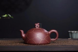 《玉兔》 《玉兔》