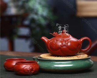 《魚化龍?zhí)捉M》 《魚化龍?zhí)捉M》