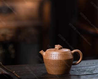 金蟾巨輪 金蟾巨輪